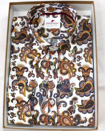 A Men's Paisley Print Button Down Shirt